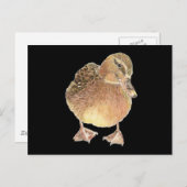 Ente, Landtiere, Haustiere Postkarte (Vorne/Hinten)