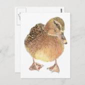 Ente, Landtiere, Haustiere Postkarte (Vorne/Hinten)