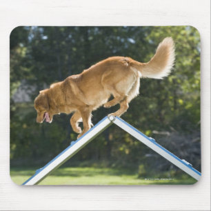 Ente-läutender Retriever Neuschottlands Mousepad