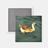 Ente Magnet (Vorderseite/Rückseite)