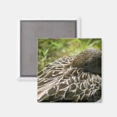 Ente Magnet (Vorderseite/Rückseite)