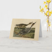 Ente mit Button - von Audubons Vögeln in Amerika Karte (Gelbe Blume)