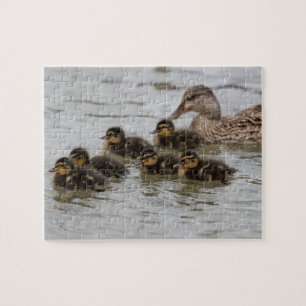 Ente mit ihren Entenlingen im Puzzle des Sees