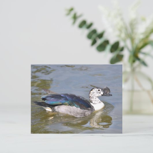 Ente mit Knöchelnarben Postkarte (Stehend Vorderseite)