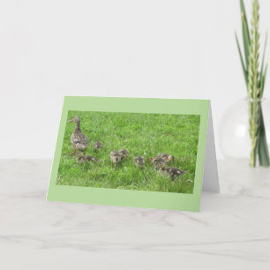 Ente mit Küken Karte