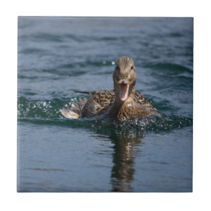 Ente mit offenem Schnabel             Fliese