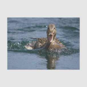 Ente mit offenem Schnabel Seidenpapier