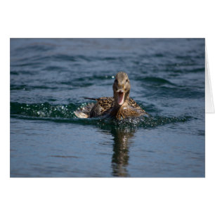 Ente mit Schnabel offen