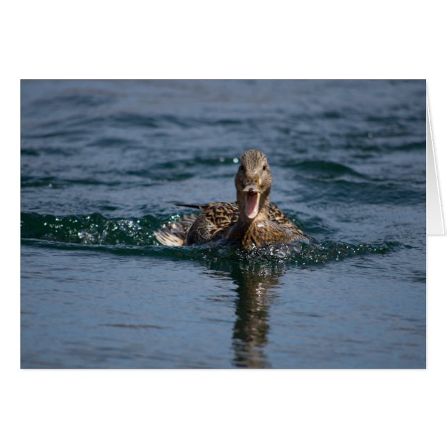 Ente mit Schnabel offen (Vorderseite (Horizontal))