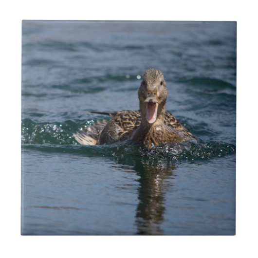 Ente mit Schnabel offen Fliese (Vorderseite)
