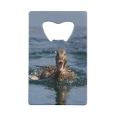 Ente mit Schnabel offen Geldbeutel Flaschenöffner (Vorderseite)