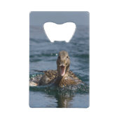 Ente mit Schnabel offen Geldbeutel Flaschenöffner (Rückseite)