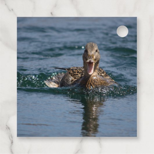 Ente mit Schnabel offen Geschenkanhänger (Rückseite)