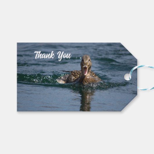 Ente mit Schnabel offen Geschenkanhänger (Vorderseite (Horizontal))