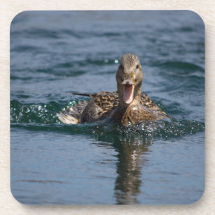 Ente mit Schnabel offen Getränkeuntersetzer