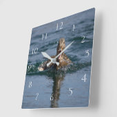 Ente mit Schnabel offen Quadratische Wanduhr (Winkel)
