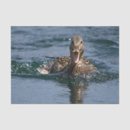 Ente mit Schnabel offen Seidenpapier