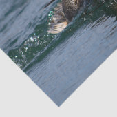 Ente mit Schnabel offen Seidenpapier (Ausschnitt)