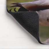 Ente Mousepad (Ecke)