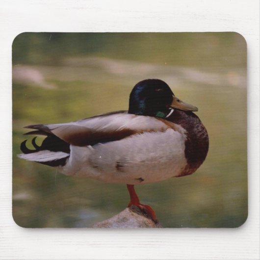 Ente Mousepad (Vorne)