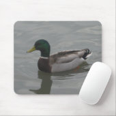 Ente Mousepad (Mit Mouse)
