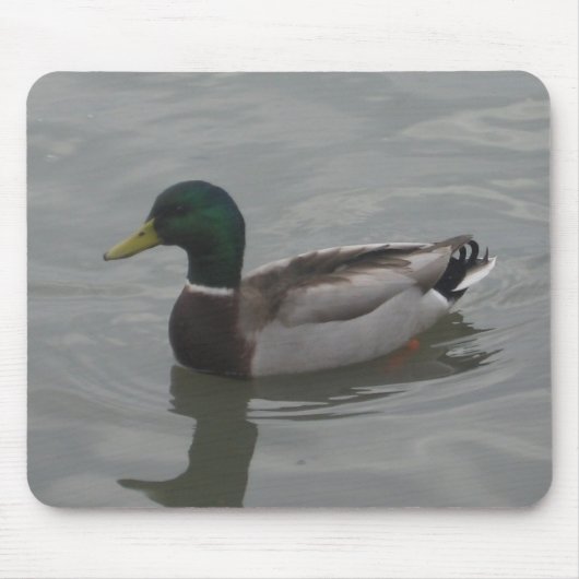 Ente Mousepad (Vorne)