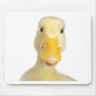Ente Mousepad