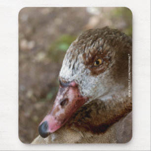 Ente Mousepad