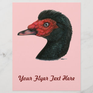 Ente: Muscovy Head Flyer