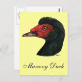 Ente: Muscovy Head Postkarte (Vorne/Hinten)