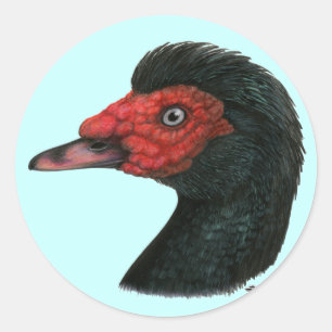 Ente: Muscovy Head Runder Aufkleber