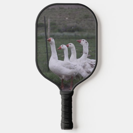 Ente Pickleball Schläger (Vorderseite)