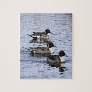 Ente Pintail Trio Jigsaw Puzzle