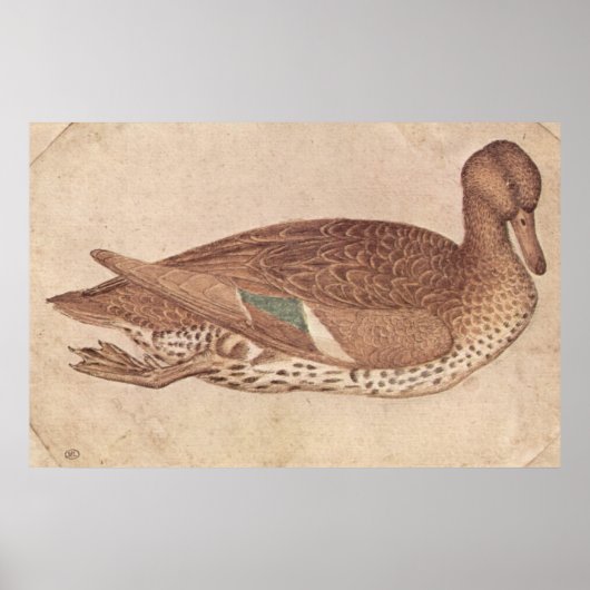Ente - Pisanello - c1440 Poster (Vorne)