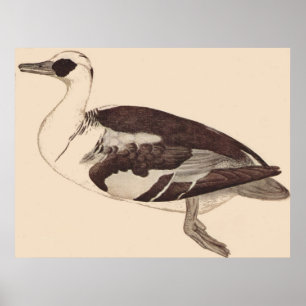 Ente - Pisanello - c1450 Poster