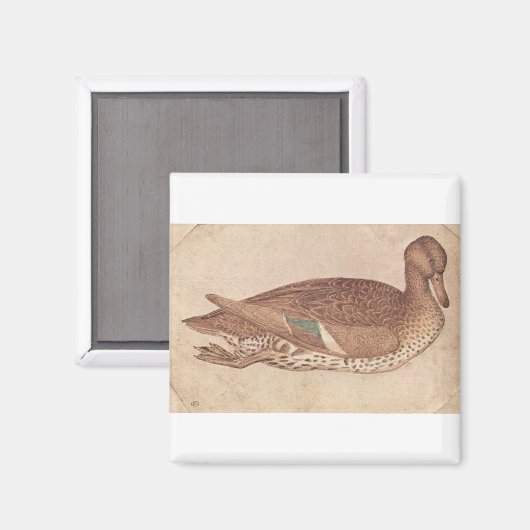 Ente - Pisanello Magnet (Vorderseite/Rückseite)