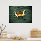 Ente Poster (Küche)