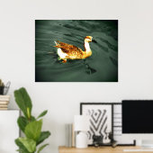 Ente Poster (Heimbüro)