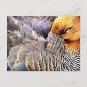 ENTE POSTKARTE