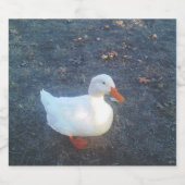 Ente Schaumweinetikett (Einzelnes Label)