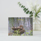 Ente schwimmen auf einem Teich Postkarte (Stehend Vorderseite)