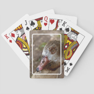 Ente Spielkarten