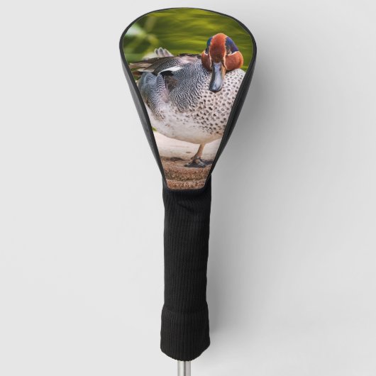 Ente stößt auf golf headcover (Vorderseite)
