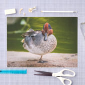 Ente stößt auf seidenpapier (Handwerk)