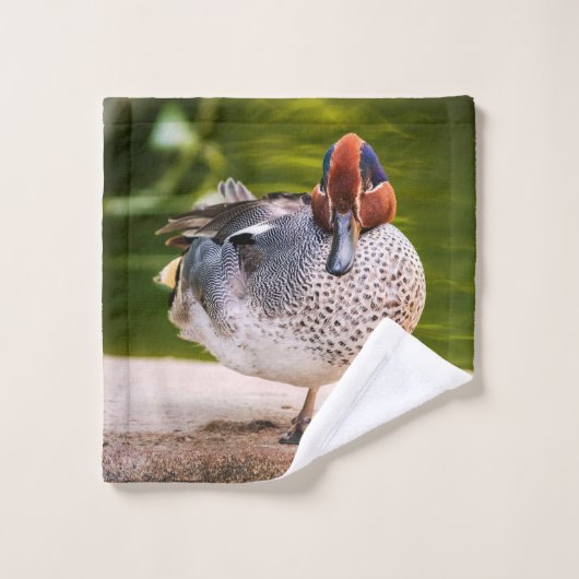 Ente stößt auf waschlappen (Waschlappen)