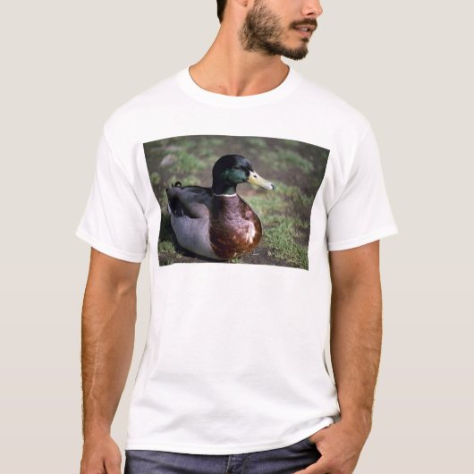 Ente T-Shirt (Vorderseite)