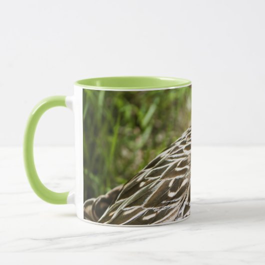Ente Tasse (Links)