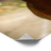 Ente-ttitude Poster (Ecke)