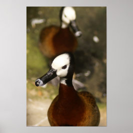 Ente-ttitude Poster