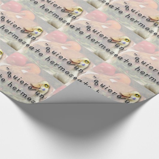 Ente und Baby Geschenkpapier (Ecke)